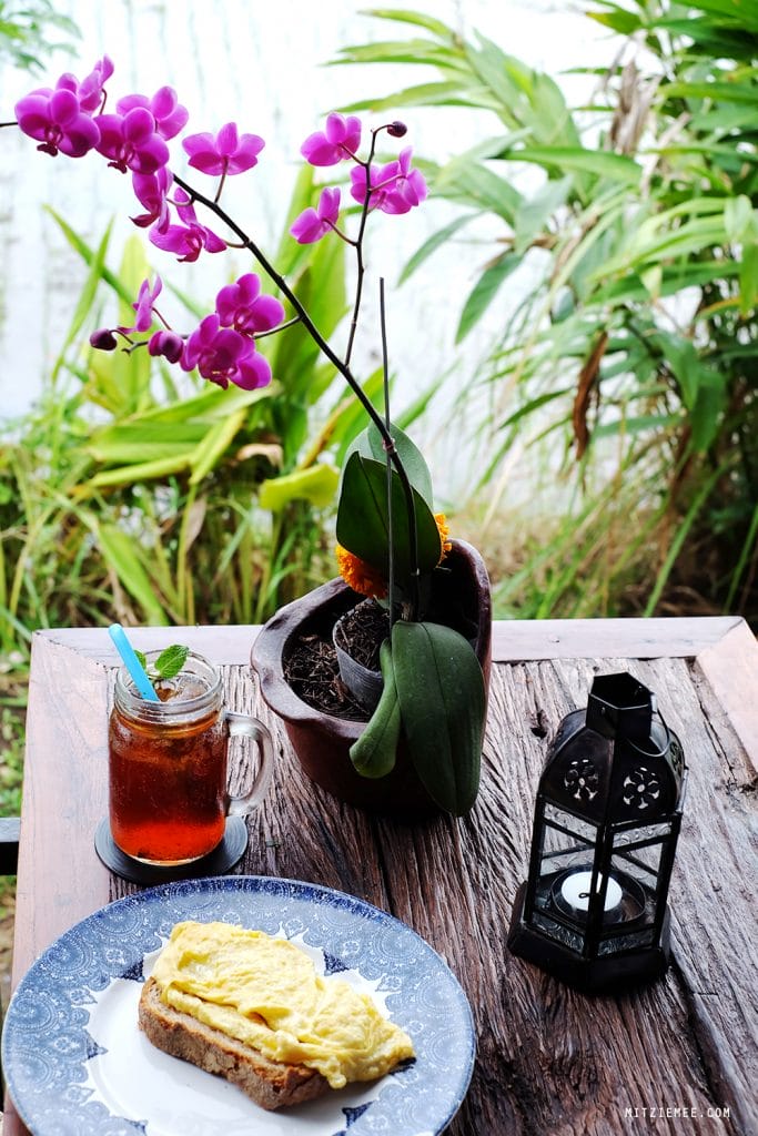 Ubud: Frække aber og Cafe du Monyet – Bali Blog