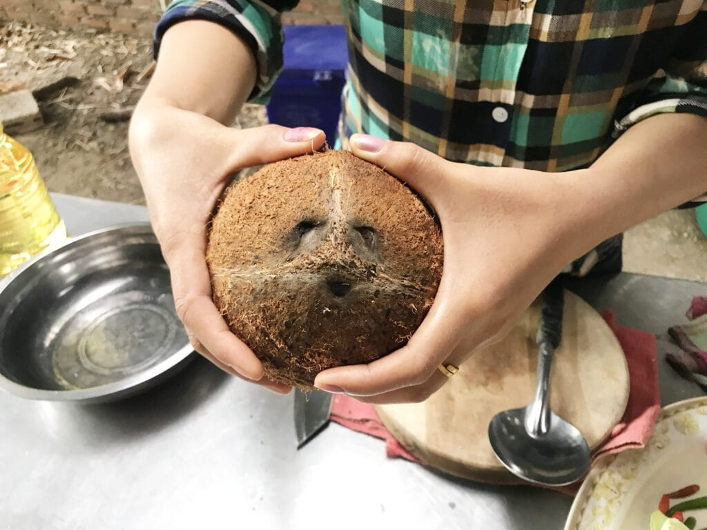 Sådan åbner du en kokosnød