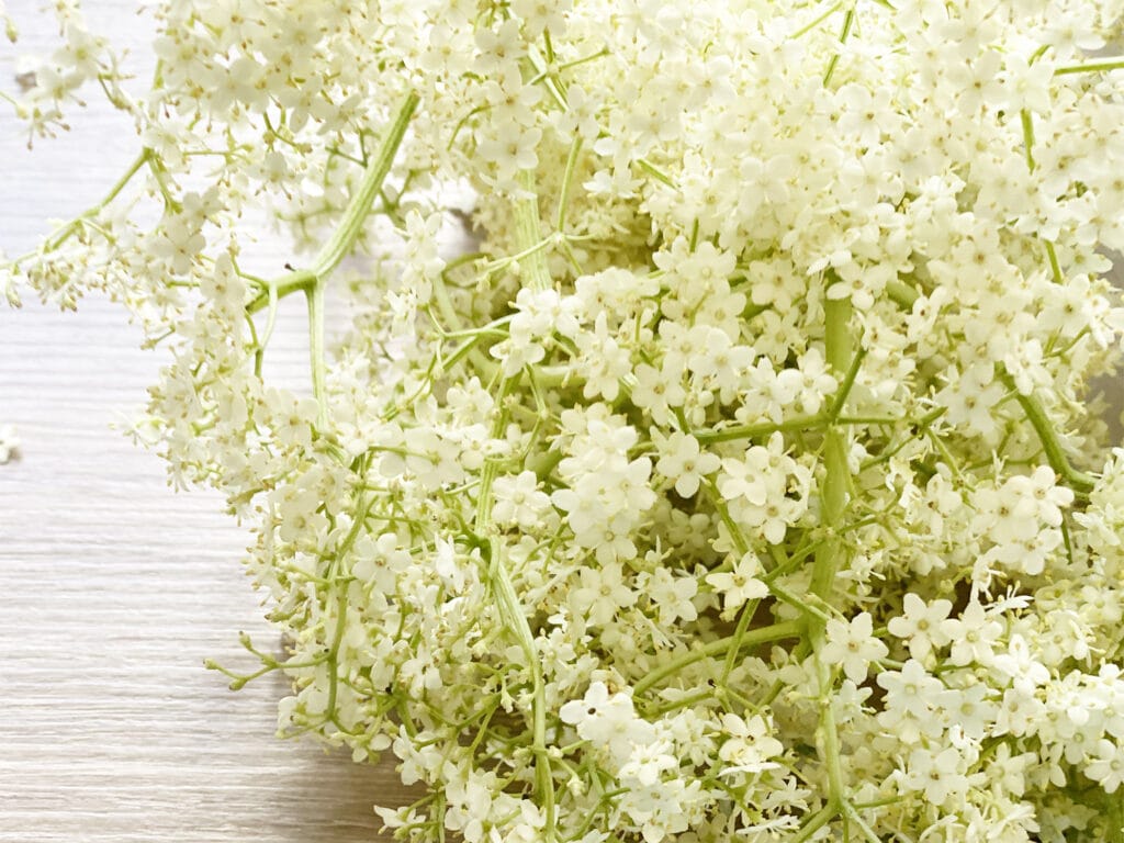 Opskrift: Min mors hyldeblomstsaft