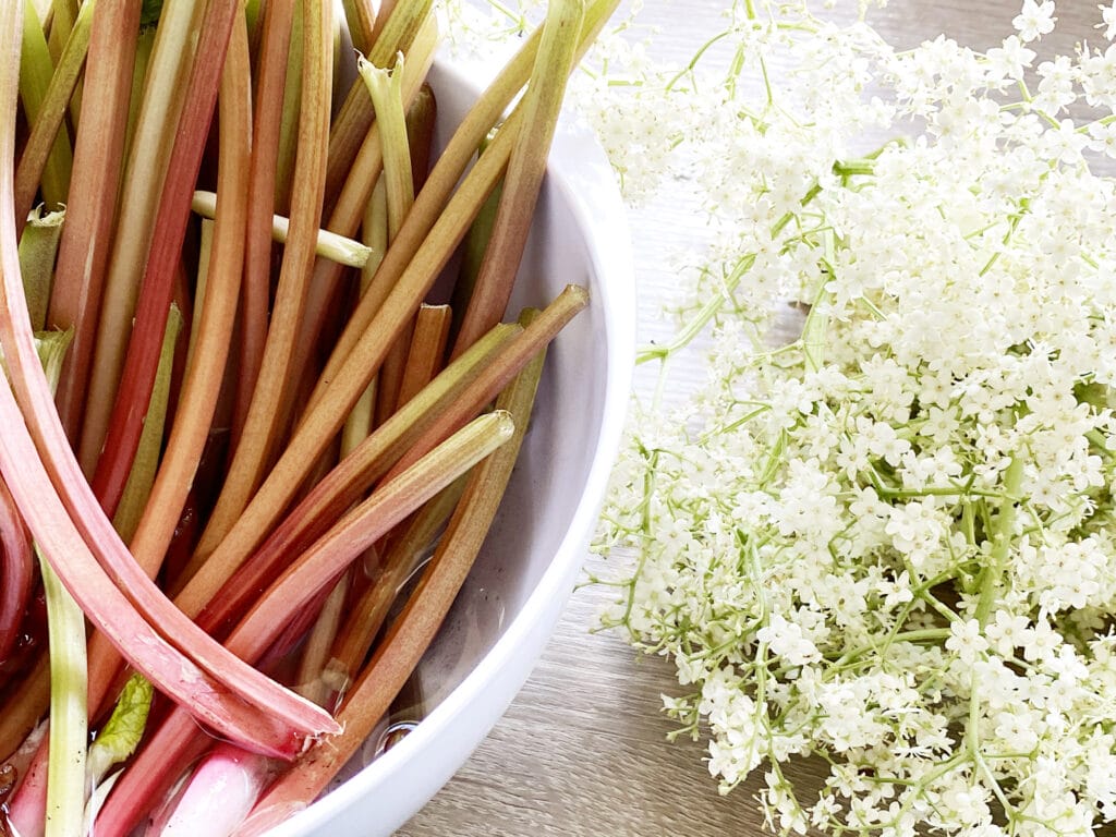 Opskrift: Min mors hyldeblomstsaft