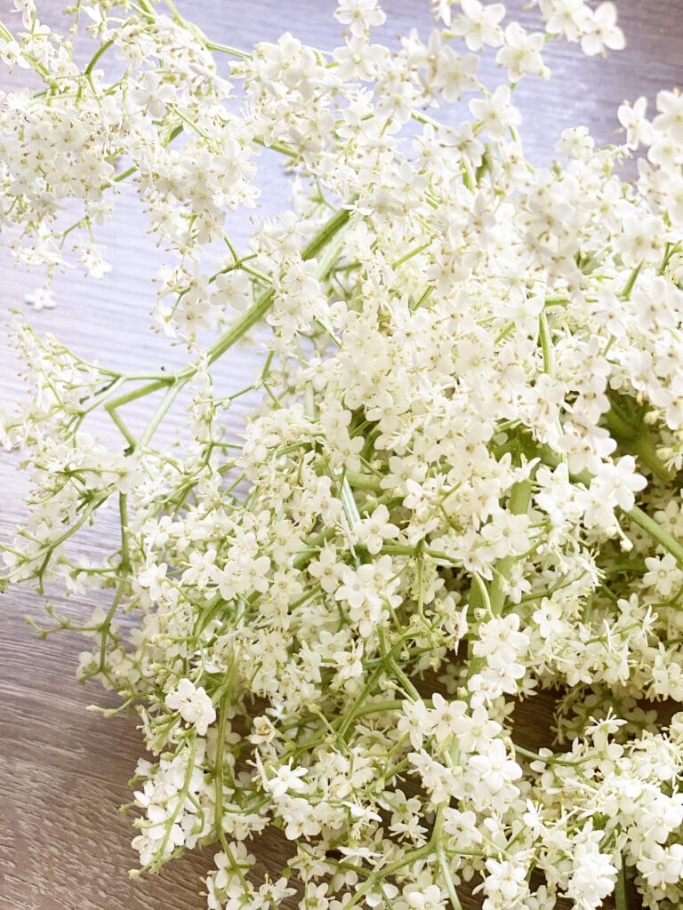 Opskrift: Min mors hyldeblomstsaft