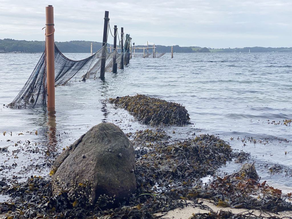 Stranden ved Skærbæk, Fredericia