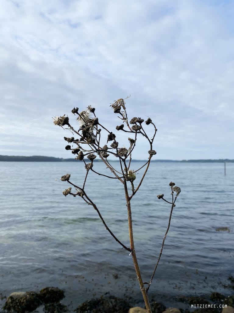 Stranden ved Skærbæk, Fredericia