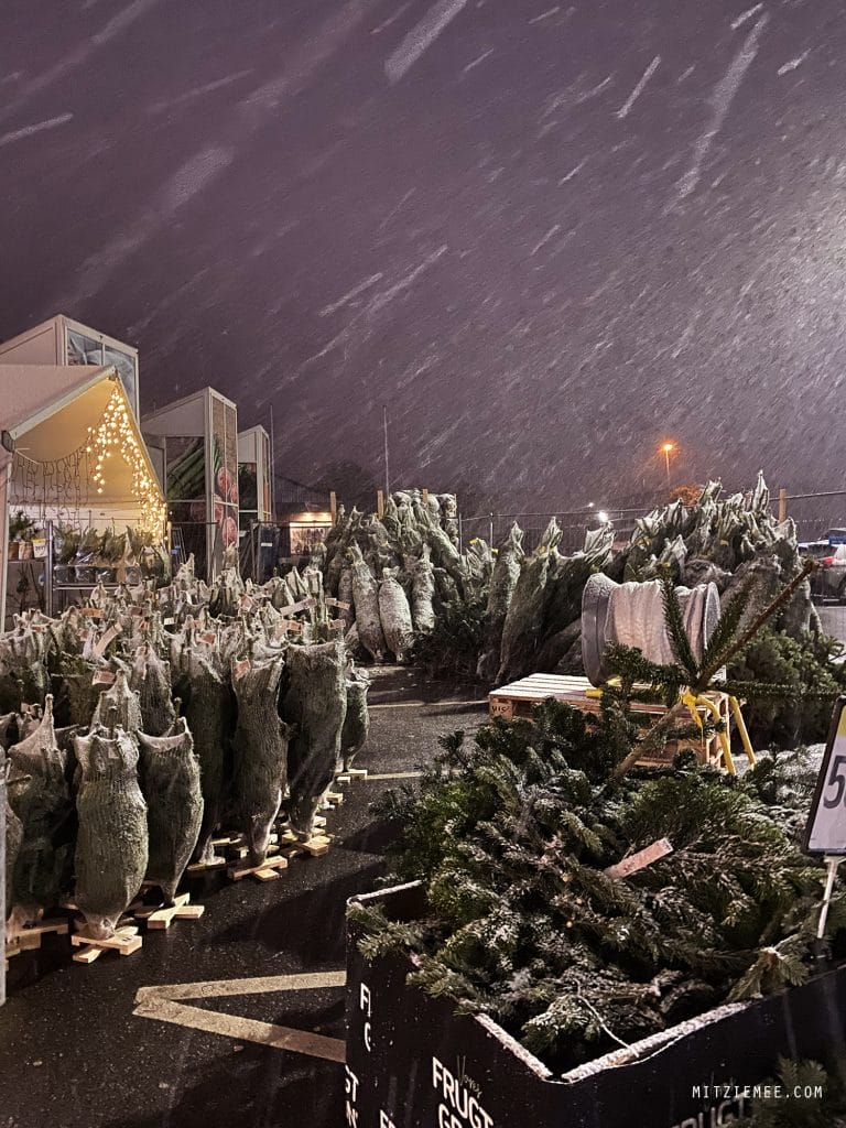 Snevejr i Fredericia