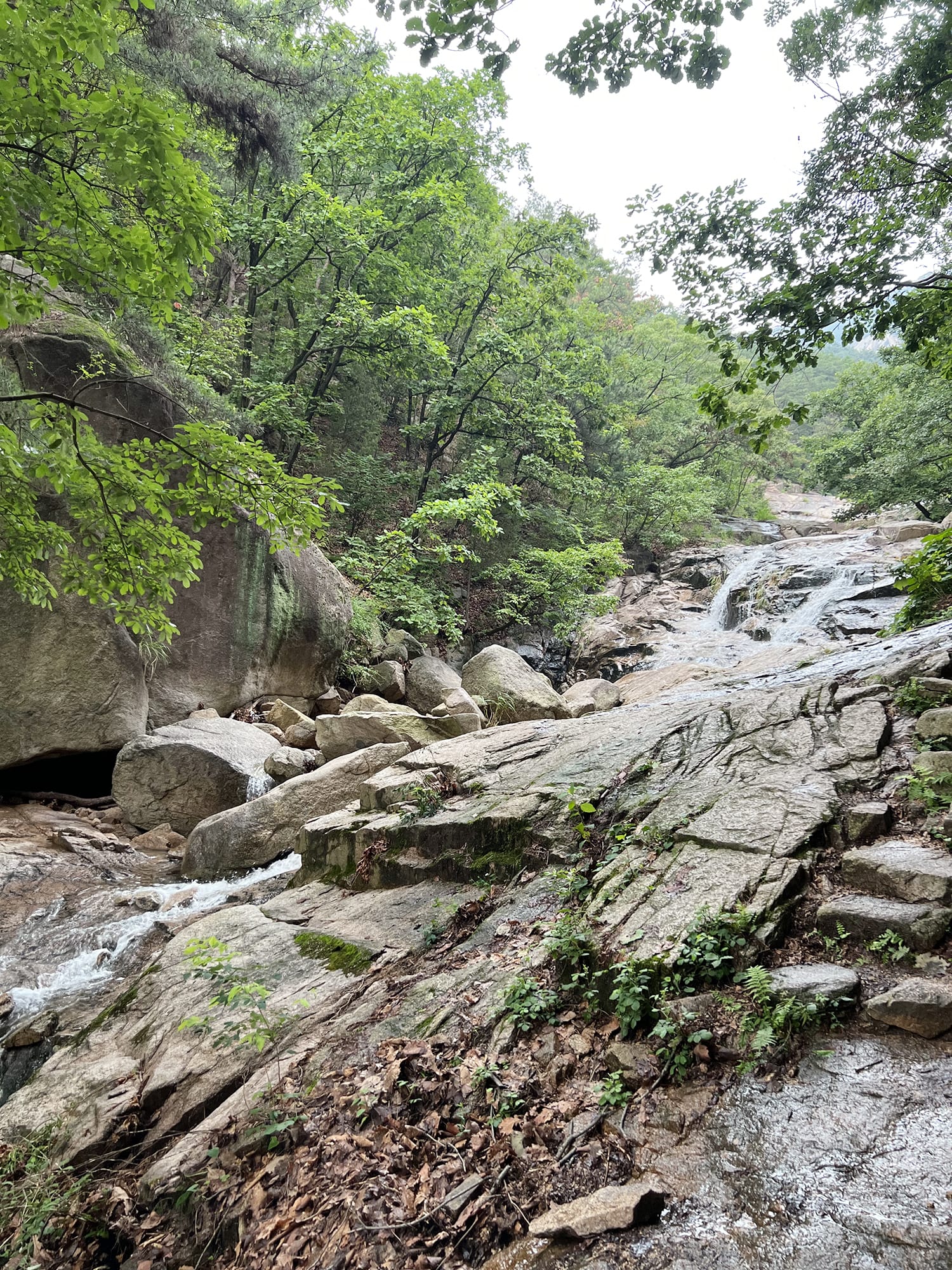 Seoul: Suraksan - På bjergvandring i Sydkorea