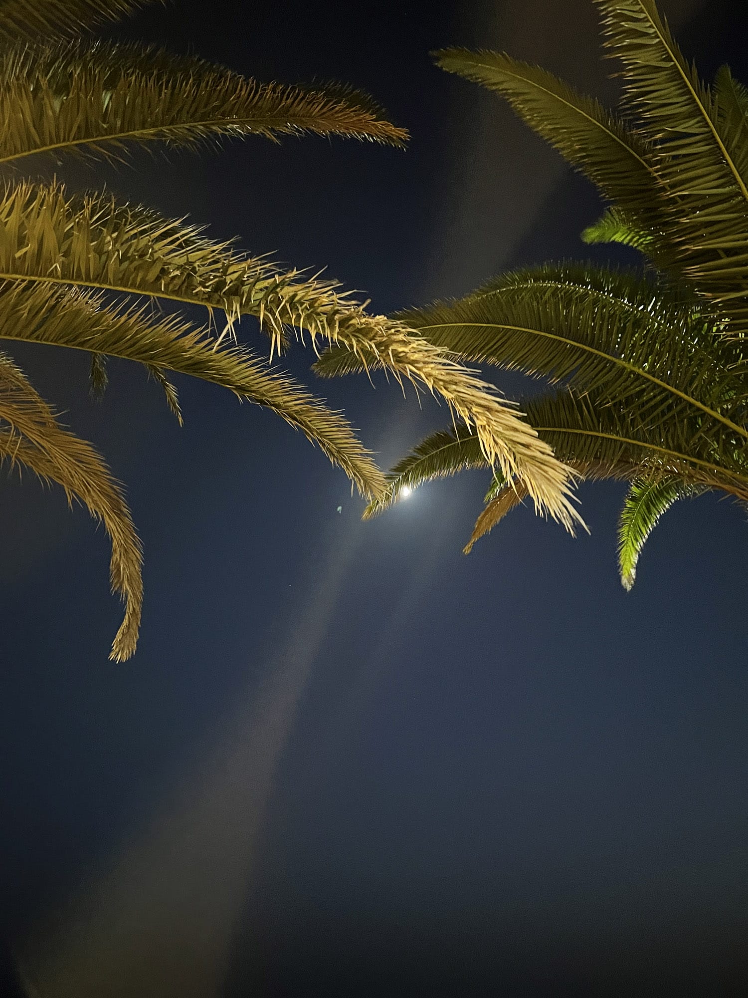 La Lajita, Fuerteventura