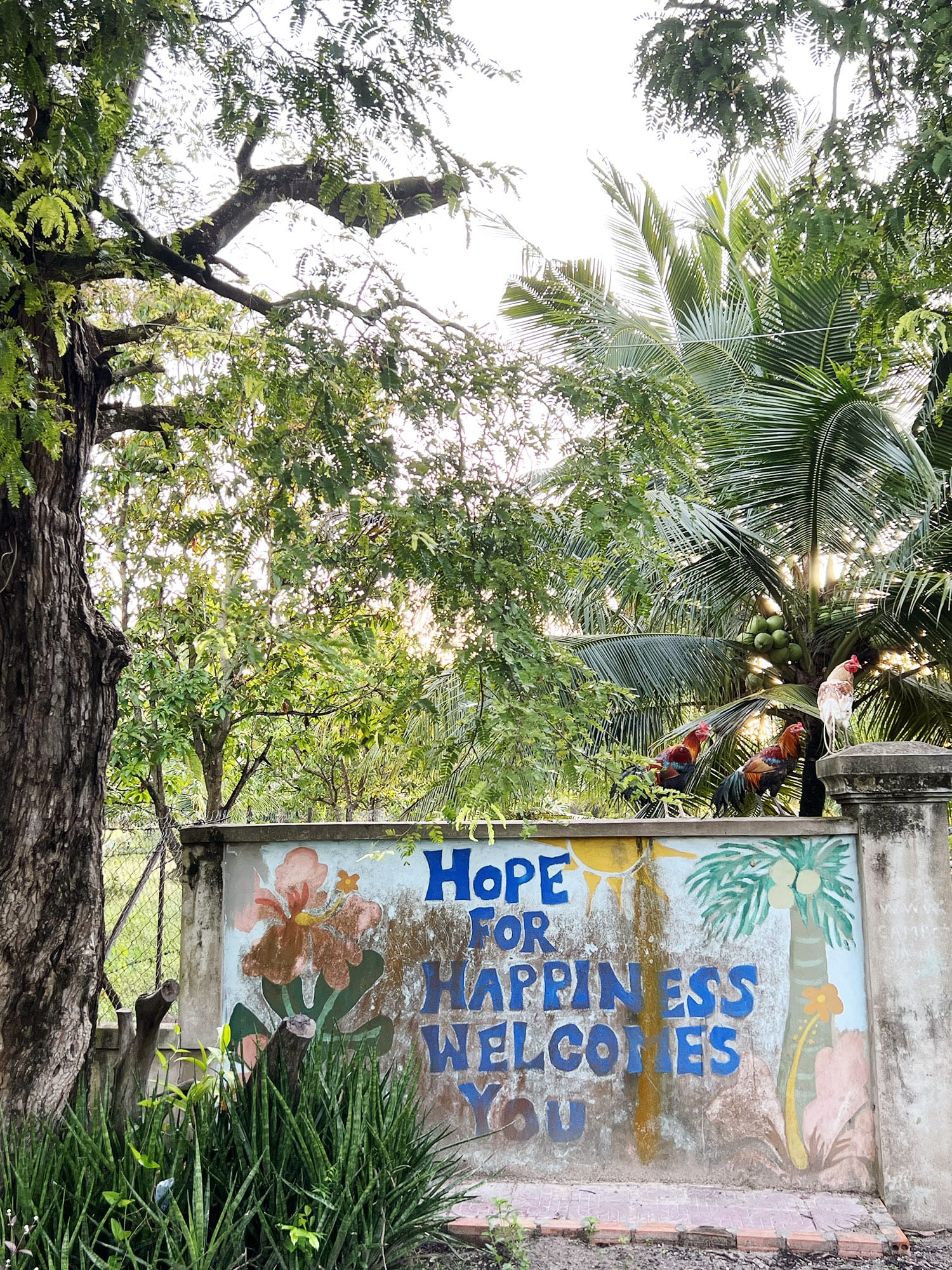 Cambodia: Meas Family Homestay i Takeo