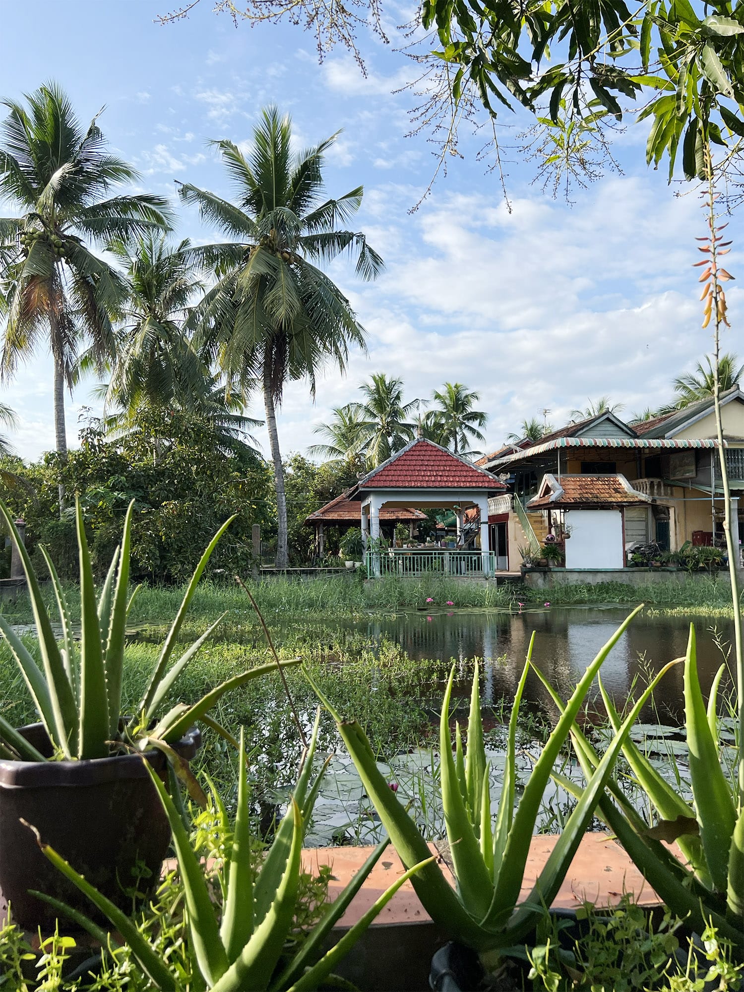 Cambodia: Meas Family Homestay i Takeo