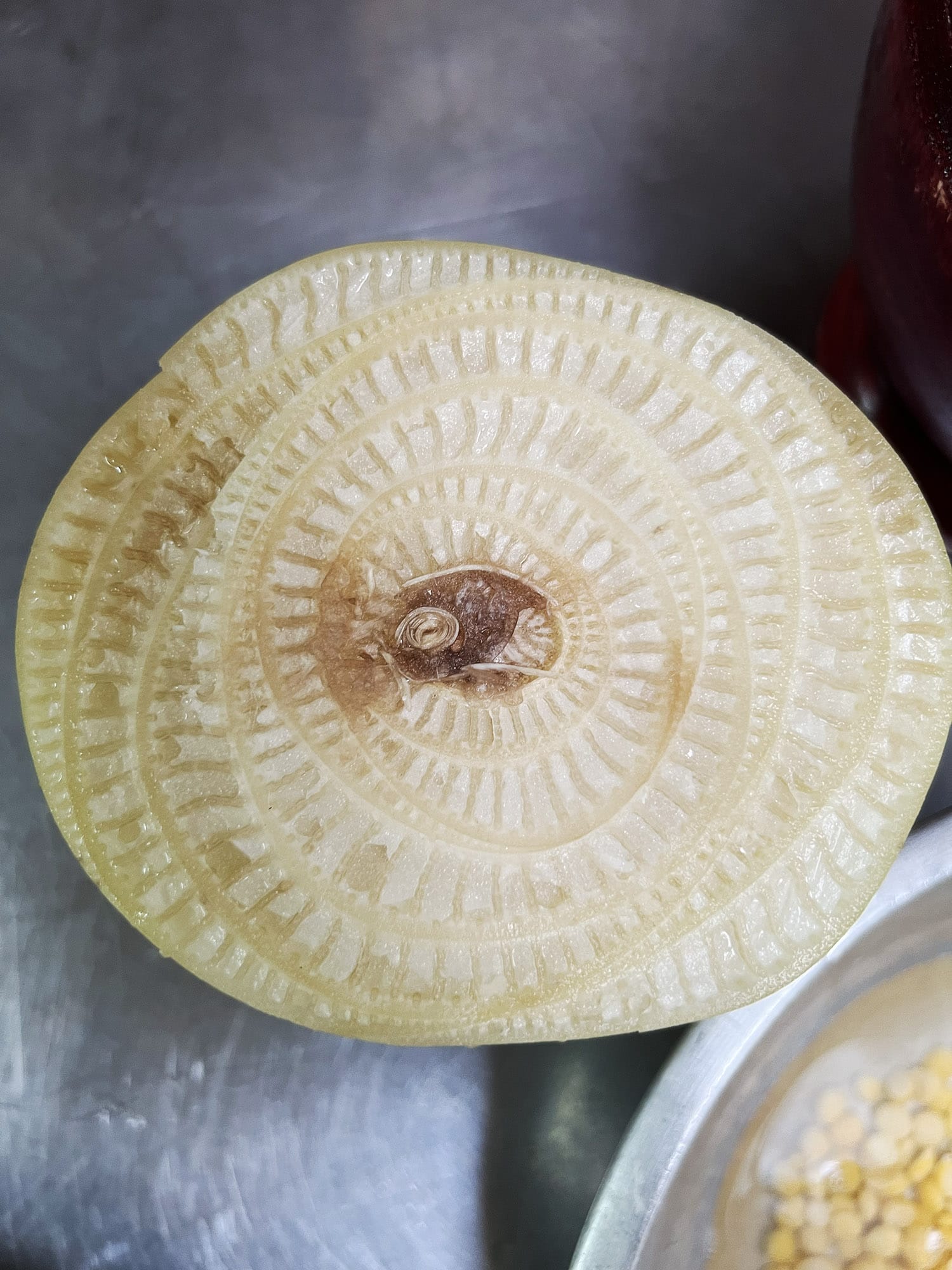 Mohinga - Vegetarisk version med bananstængel - Opskrift fra Tea Garden i Mae Sot