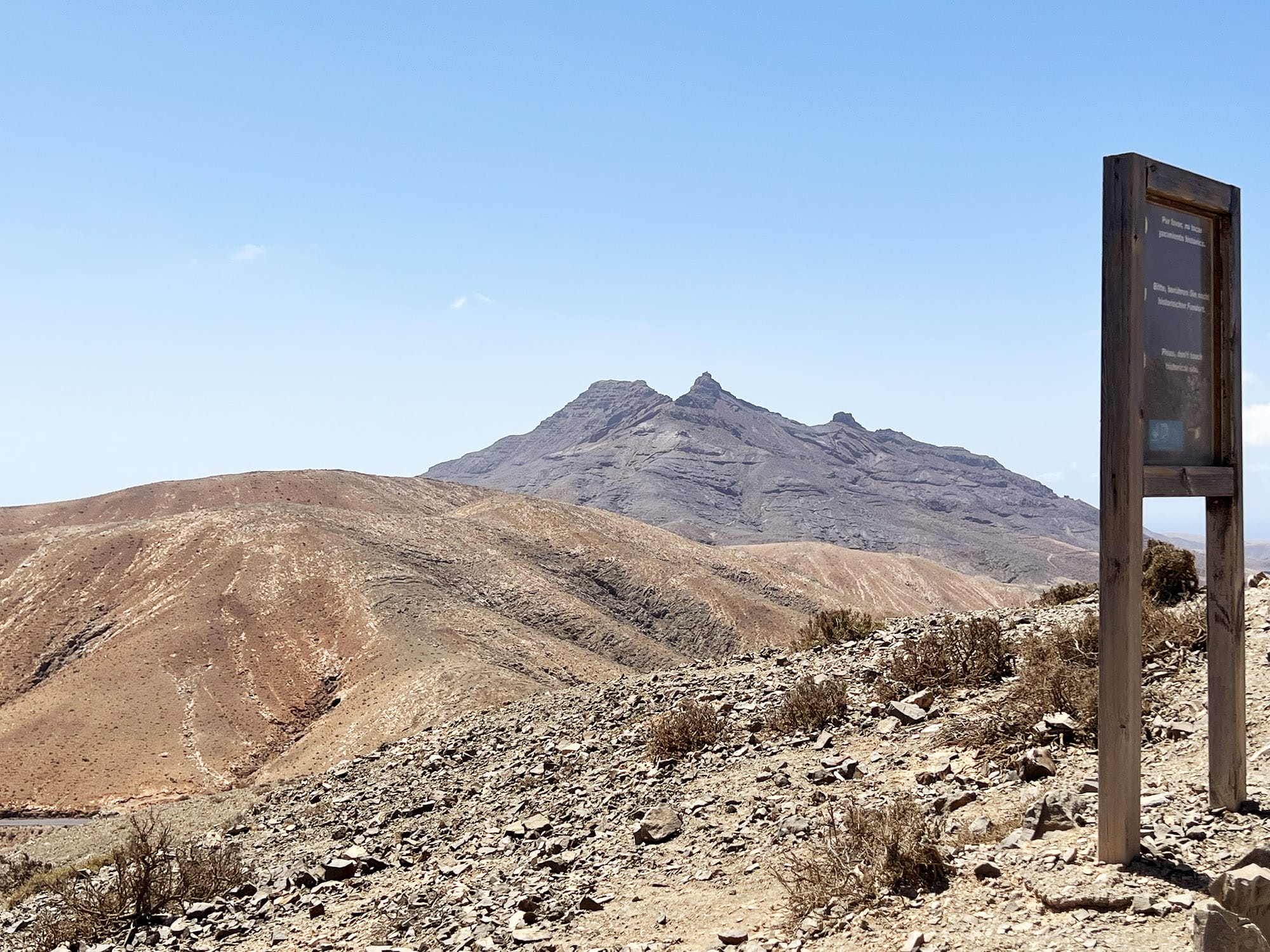 Sicasumbre på Fuerteventura