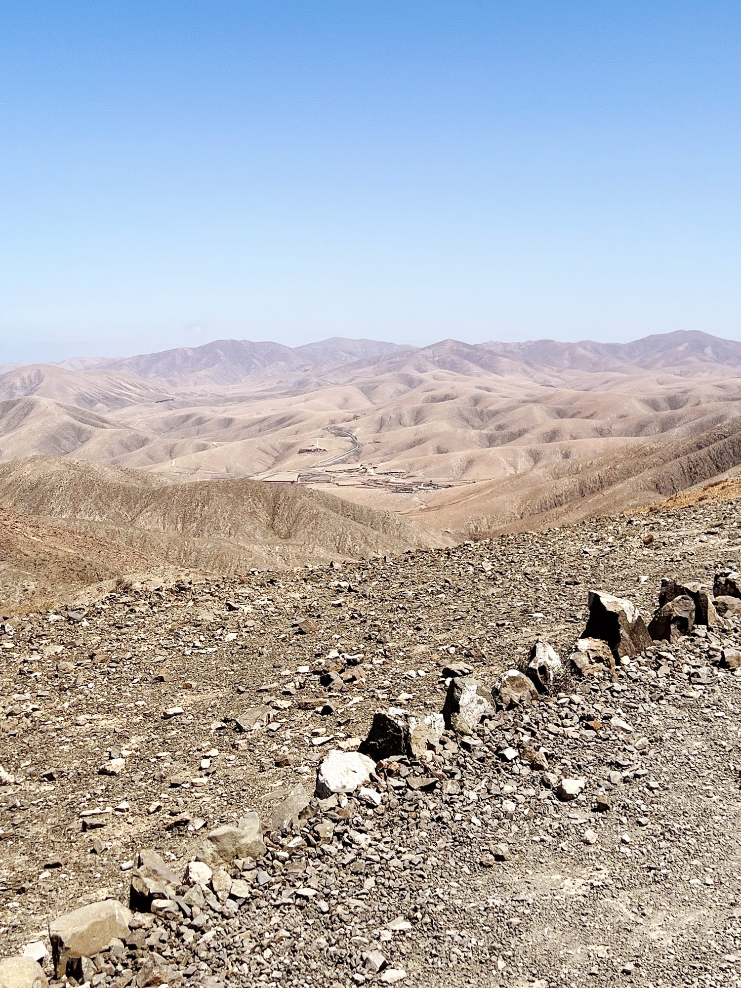 Sicasumbre på Fuerteventura