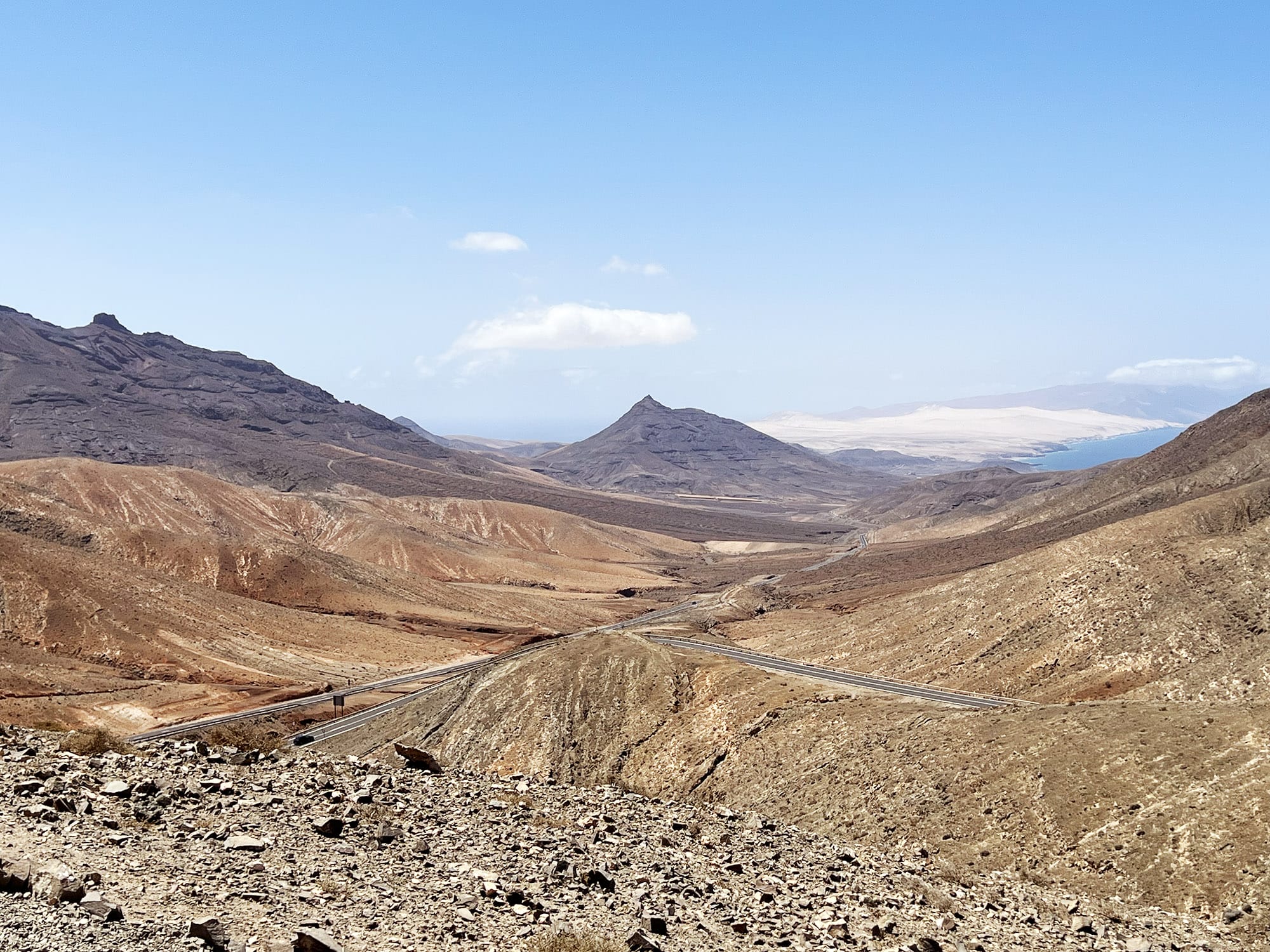 Sicasumbre på Fuerteventura