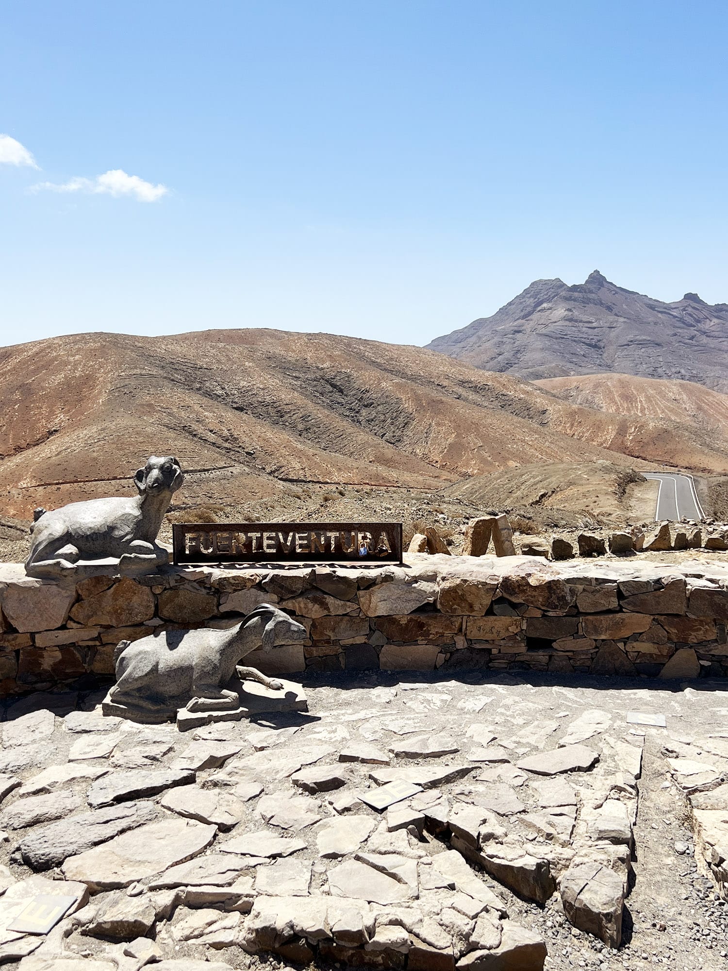 Sicasumbre på Fuerteventura