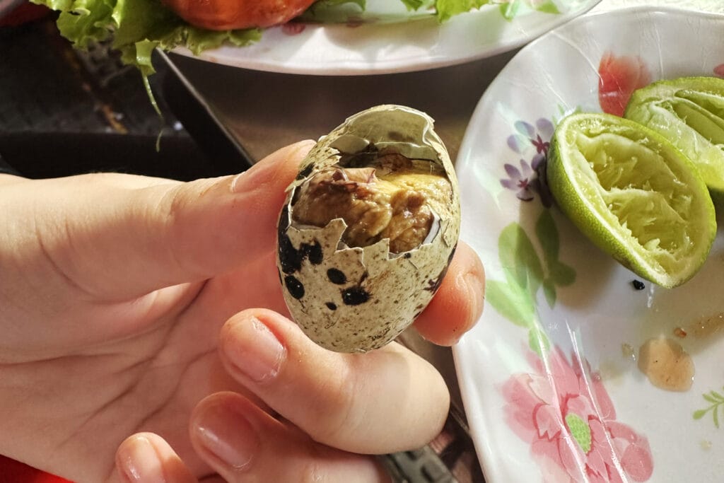 Har du prøvet at spise vagtelæg? Disse kære små æg er en almindelig cambodjansk snack og fås i to forskellige typer; hårdkogte og balut vagtelæg. Jeg kan lide begge måder, så jeg anbefaler, at du prøver begge dele. Æggene er tilgængelige i hele byen, og sælgerne bærer normalt æggene i en stor kurv. Det er en god snack at gnaske på og også billig. 10 æg koster normalt omkring 3500 riels, hvilket er mindre end $1.  Hårdkogte vagtelæg er præcis som de lyder - kogte æg. Vagtelæggene er mindre i størrelse i forhold til almindelige kyllingæg, men smagen er lignende. Balut vagtelæg er derimod meget forskellige :)  Balut-æg er befrugtede vagtelæg, der er inkuberet i flere dage. Resultatet er en delvis udviklet embryo, som er kogt og spist direkte fra skallen. Lad dig ikke intimidere af tanken om at spise en delvist udviklet embryo - det er faktisk en meget velsmagende og eftertragtet snack. Teksturen er blød og cremet, og smagen er som et almindeligt æg, men med en smule kylling.  Den bedste måde at nyde balut-æg på er at dyppe dem i en blanding af peber og salt, drysset med limejuice. Dette forbedrer smagen og giver den en rig, krydret smag, der vil efterlade dig med lyst til mere. Uanset om du foretrækker hårdkogte eller balut vagtelæg, er begge lækre og et must-try for enhver, der leder efter noget nyt og unikt.