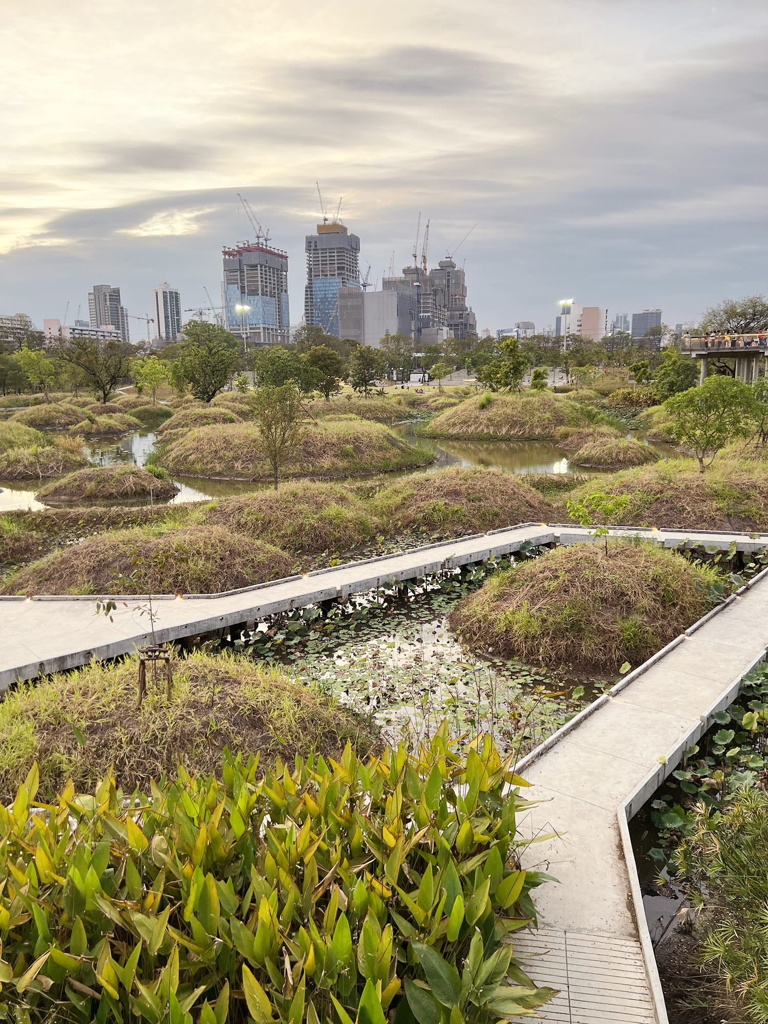 Bangkok: Benchakitti Forest Park - En grøn oase midt i byen