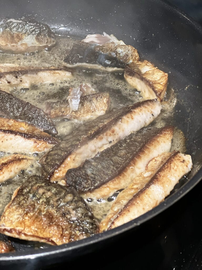 Norge: På fisketur i Farsund