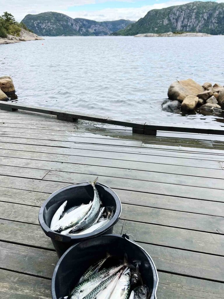 Norge: På fisketur i Farsund