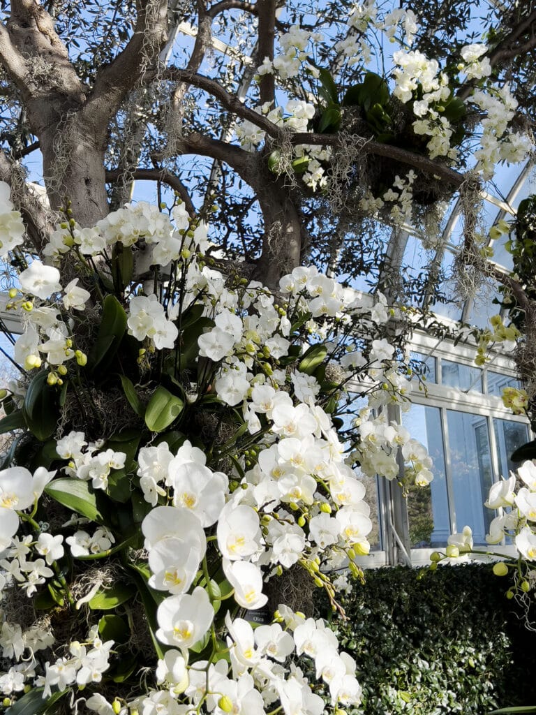 New York Botanical Garden: The Orchid Show – Florals in Fashion