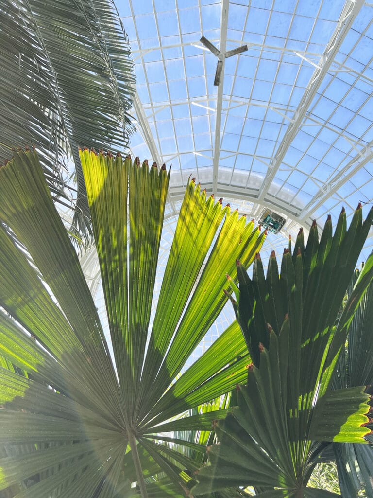 New York Botanical Garden: The Orchid Show – Florals in Fashion