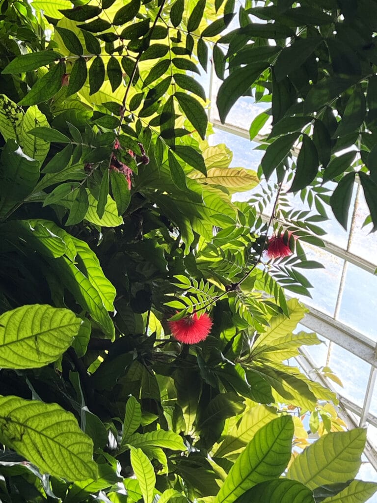 New York Botanical Garden: The Orchid Show – Florals in Fashion