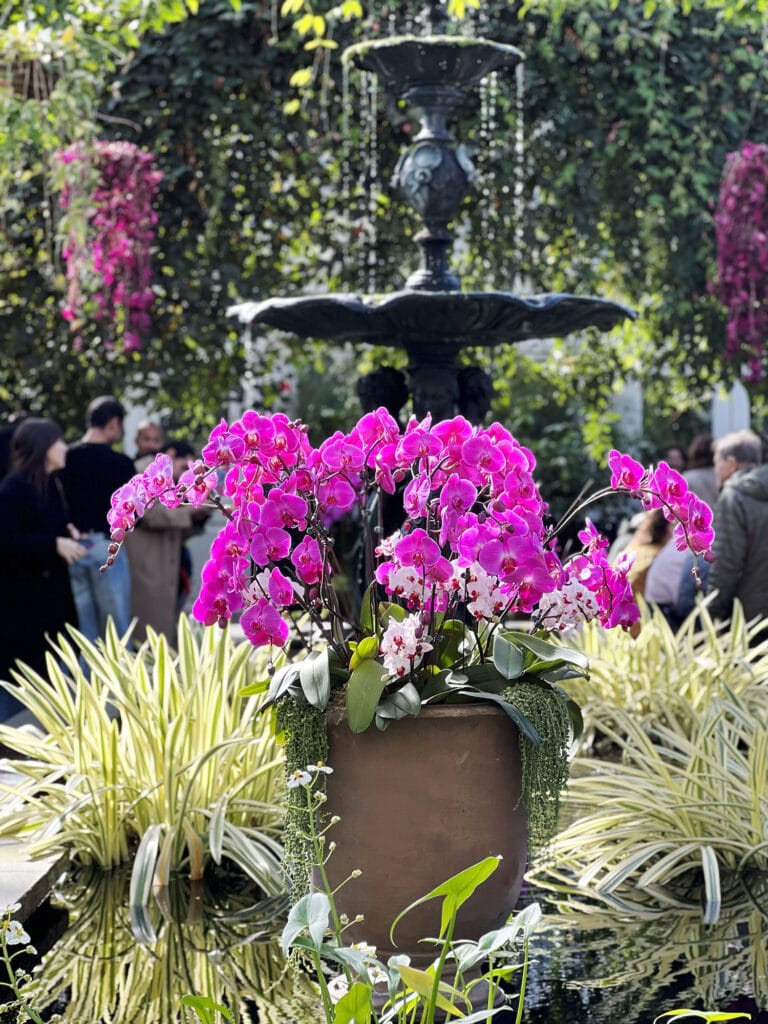 New York Botanical Garden: The Orchid Show – Florals in Fashion
