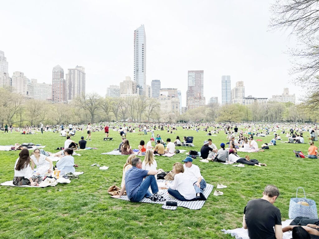 New York Blog picnic i Central Park