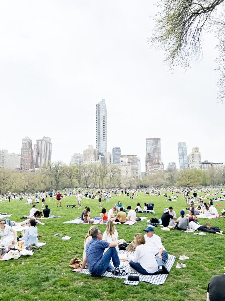 New York Blog picnic in Central Park