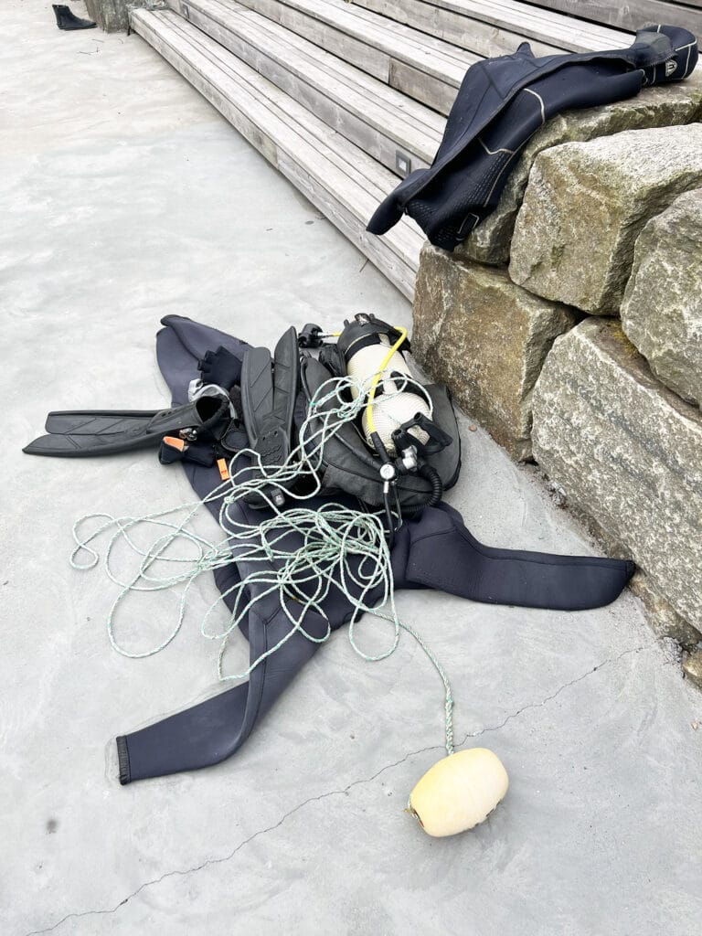 Farsund: Kammuslinger og hvidvin