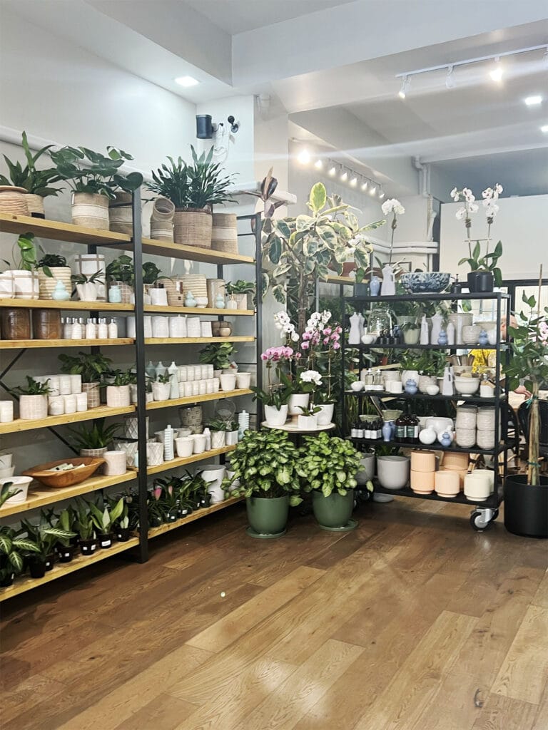 New York: PlantShed i East Village