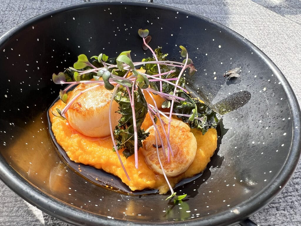 Norge: Dagsudflugt til Hidra og frokost på Isbua