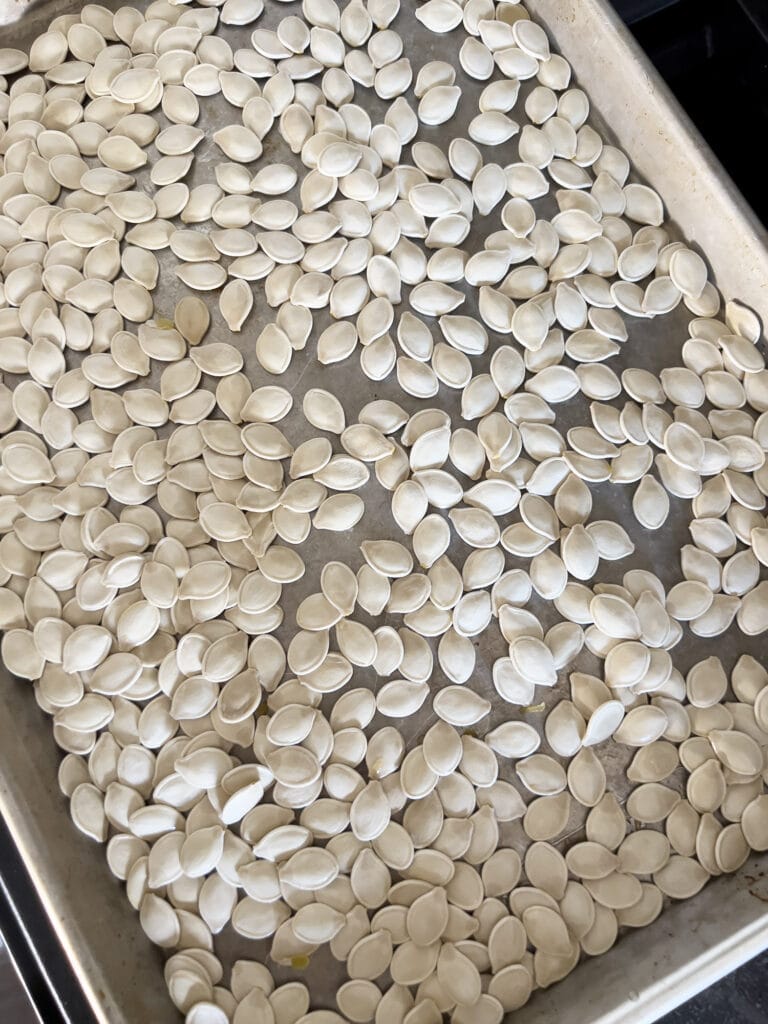 Opskrift: Harissa-ristede Græskarkerner