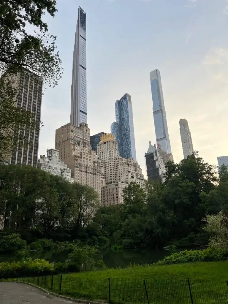 New York: Vaskebjørne i Central Park