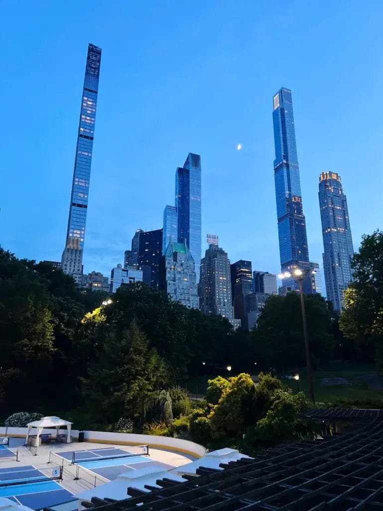 New York: Vaskebjørne i Central Park